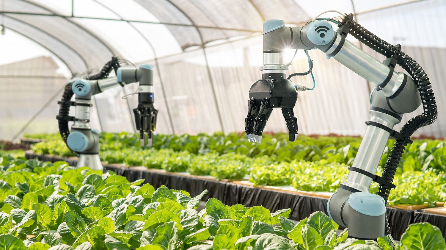 Modern Gardening, High-tech Farming and Farm Produce